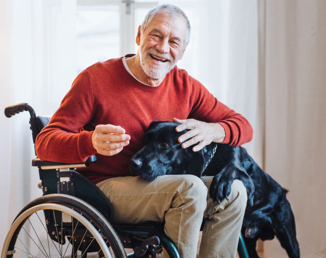 senior man in wheelchair playing with his dog